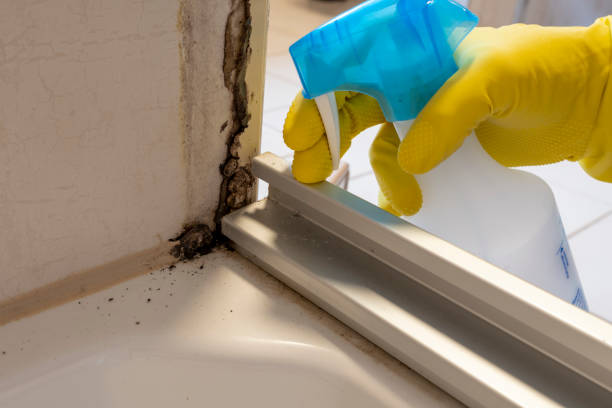 Best Mold Removal and Inspection  in Newhall, IA