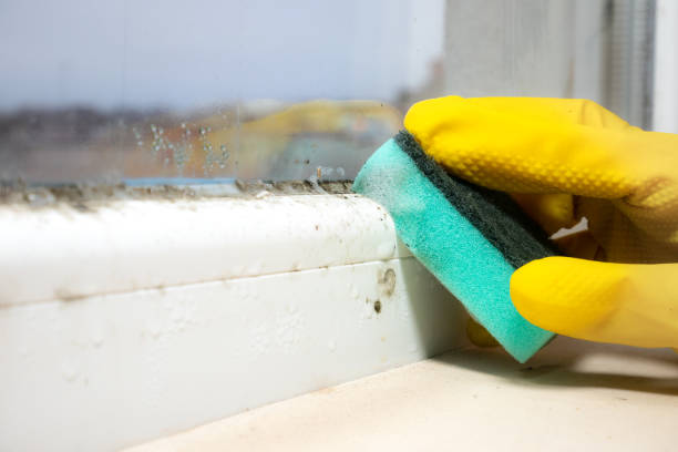 Best Mold Testing  in Newhall, IA