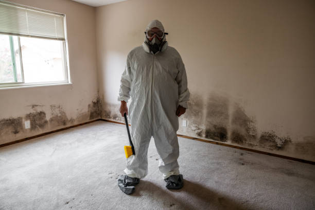 Newhall, IA Mold Removal Company